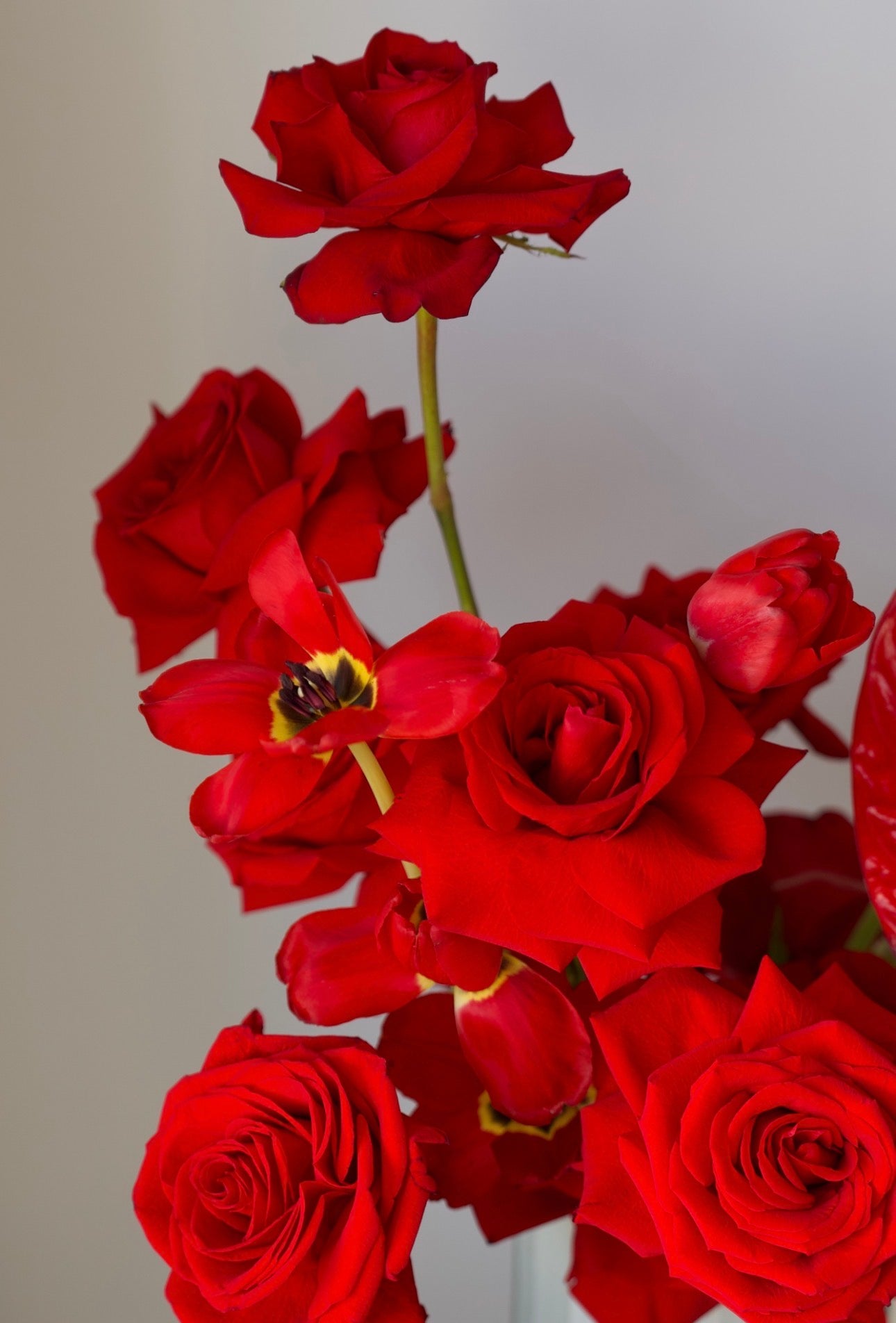 Scarlet Elegance Arrangement
