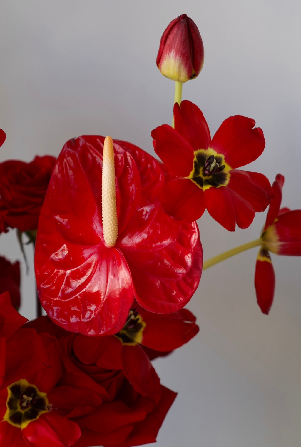 Scarlet Elegance Arrangement